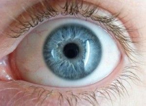 oog droog